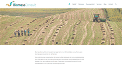 Desktop Screenshot of biomassconsult.com